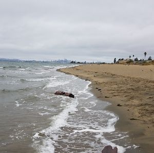 Meet your Posher, Dave